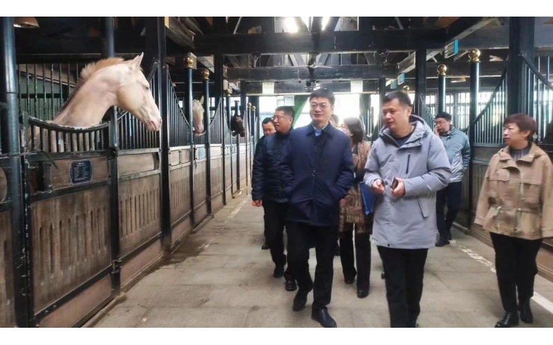 高雷副廳長(zhǎng)在野馬集團(tuán)調(diào)研時(shí)表示，要通過(guò)科技助力，精準(zhǔn)解決“卡脖子”問(wèn)題