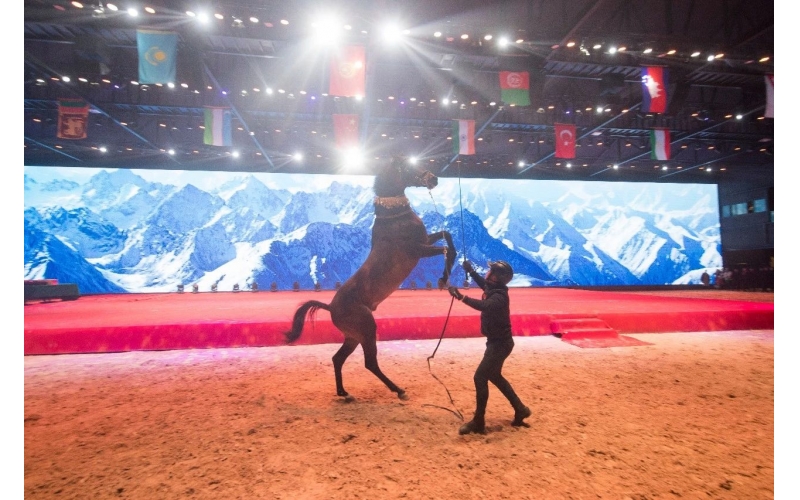 住馬酒店、吃馬肉腸、喝馬奶粉、品馬奶酒--
